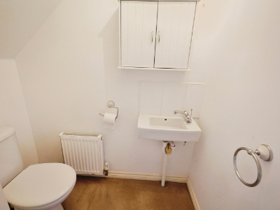 Picture 7